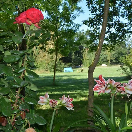 Le Ghiande Lugnano in Teverina