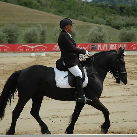 Le Ghiande Alloggio per agriturismo Lugnano in Teverina