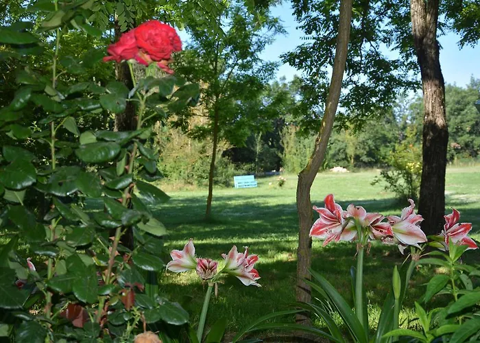 Le Ghiande Lugnano in Teverina